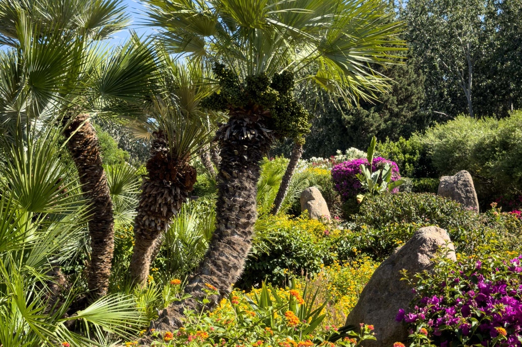 media.Slide_Esterni_3Veridia_Resort_Sardegna