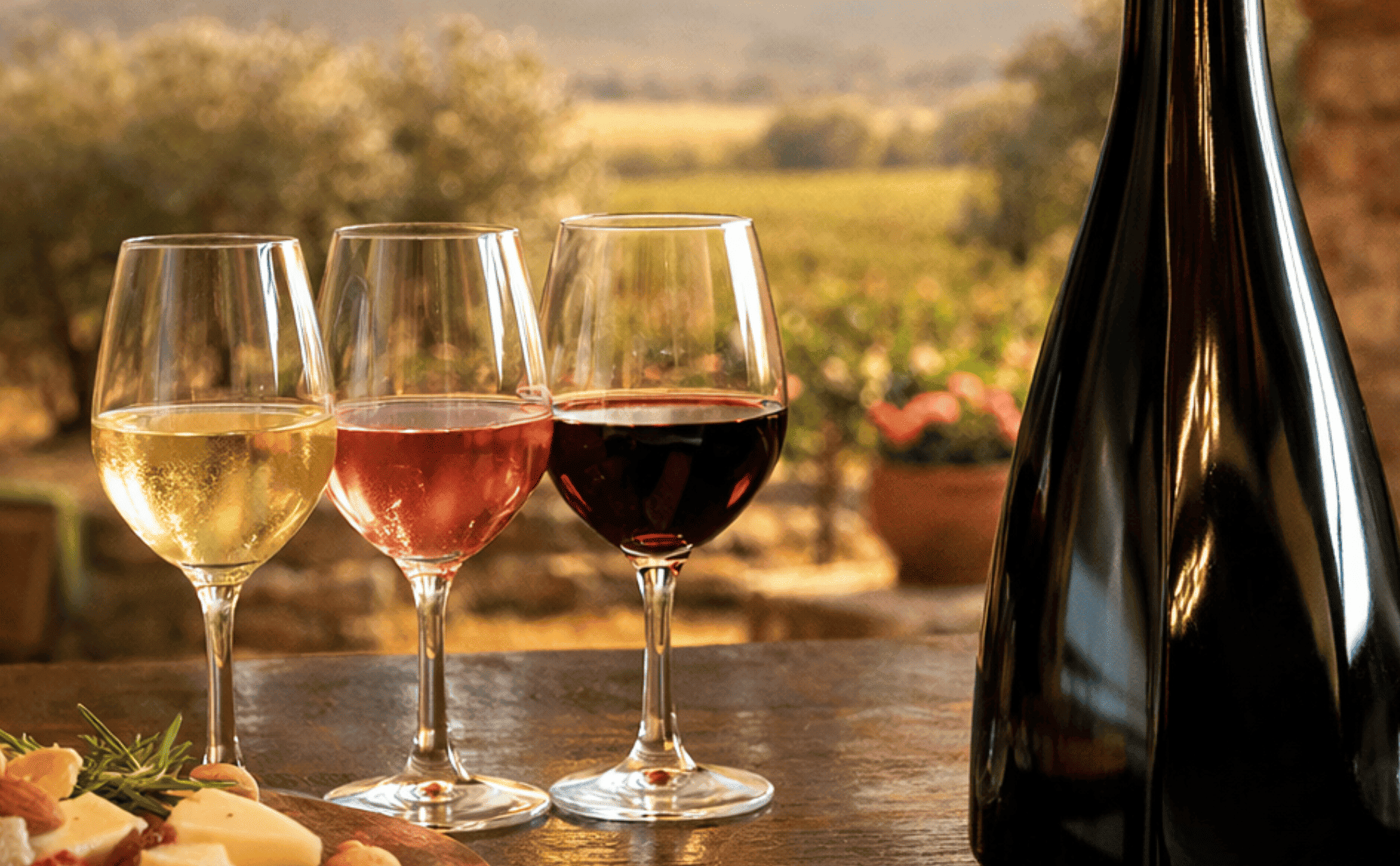 media.Progetto senza titolo-3-2-2